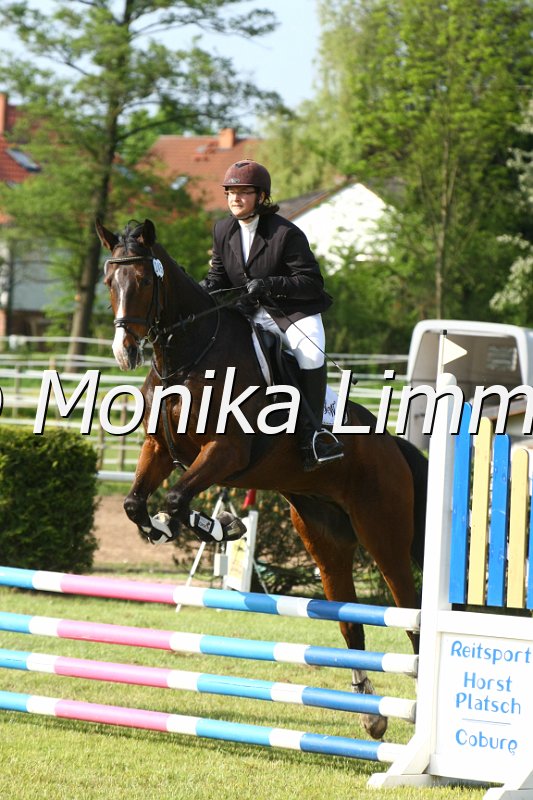 204M2601_Prophet T_Stil_A.JPG